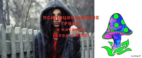a pvp Арсеньев