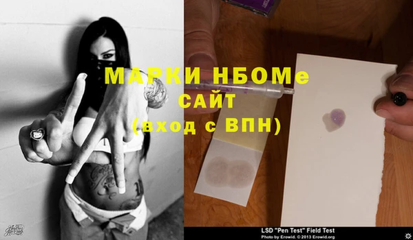 стаф Надым