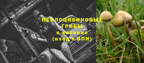 Альфа ПВП Аркадак