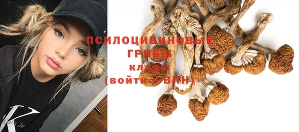ешки Балахна