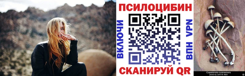 наркота Раменское Галлюциногенные грибы MAGIC MUSHROOMS